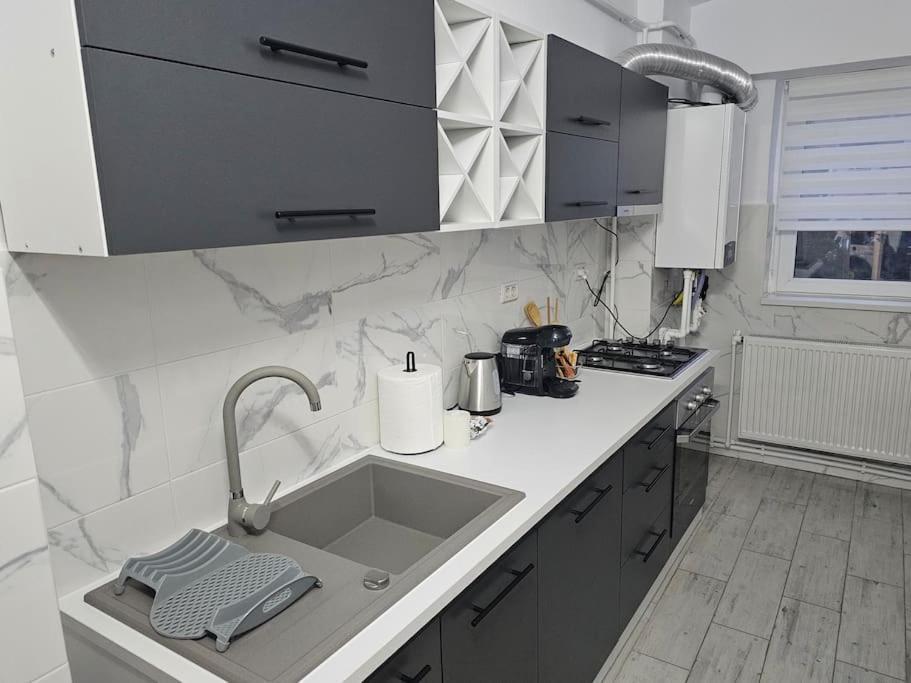 Relaxare In Inima Orasului Apartment Dorohoi