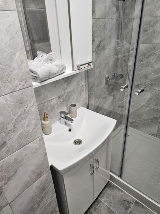 Relaxare In Inima Orasului Apartment *